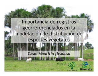 Importancia de registros
   georreferenciados en la
modelación de distribución de
     especies vegetales

     Caso: Mauritia flexuosa
 