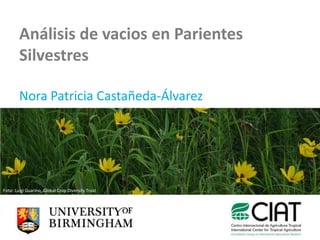 Análisis de vacios en Parientes
        Silvestres

        Nora Patricia Castañeda-Álvarez




Foto: Luigi Guarino, Global Crop Diversity Trust
 