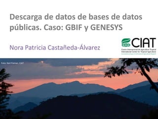 Descarga de datos de bases de datos
        públicas. Caso: GBIF y GENESYS

        Nora Patricia Castañeda-Álvarez

Foto: Neil Palmer, CIAT
 