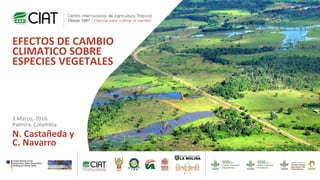 EFECTOS DE CAMBIO
CLIMATICO SOBRE
ESPECIES VEGETALES
N. Castañeda y
C. Navarro
1 Marzo, 2016
Palmira, Colombia
 