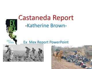 Castaneda Report-Katherine Brown- Ex  Mex Report PowerPoint  