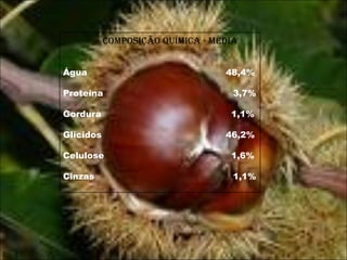Composição Química - Média  Água  48,4% Proteína  3,7% Gordura  1,1% Glícidos  46,2% Celulose  1,6% Cinzas  1,1% 