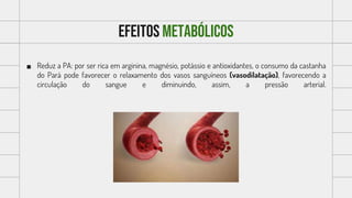 Efeitos METABÓLICOS
 Reduz a PA: por ser rica em arginina, magnésio, potássio e antioxidantes, o consumo da castanha
do Pará pode favorecer o relaxamento dos vasos sanguíneos (vasodilatação), favorecendo a
circulação do sangue e diminuindo, assim, a pressão arterial.
 