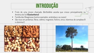 inTRODUÇÃO
 Fruto de uma árvore chamada Bertholletia excelsa que cresce principalmente na
América do Sul (Castanheira)
 Família das Oleaginosas (outros exemplos: amêndoas e as nozes)
 São ricas em proteínas, fibras, selênio, magnésio, fósforo, zinco, vitaminas do complexo B
e vitamina E.
 