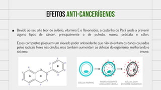 Efeitos anti-cancerígenos
 Devido ao seu alto teor de selênio, vitamina E e flavonoides, a castanha do Pará ajuda a prevenir
alguns tipos de câncer, principalmente o de pulmão, mama, próstata e cólon.
Esses compostos possuem um elevado poder antioxidante que não só evitam os danos causados
pelos radicais livres nas células, mas também aumentam as defesas do organismo, melhorando o
sistema imune.
 