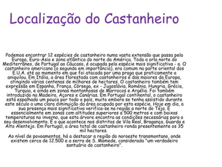 Localização do Castanheiro Podemos encontrar 12 espécies de castanheiro numa vasta extensão que passa pela Europa, Euro-Ásia e zona atlântica do norte da América. Toda a orla norte do Mediterrâneo, de Portugal ao Cáucaso, é ocupada pela espécie mais significativa - a. O castanheiro americano (a segunda em importância), era comum na parte oriental dos E.U.A. até ao momento em que foi atacada por uma praga que praticamente a aniquilou. Em Itália, a área florestada com castanheiros é das maiores da Europa, atingindo várias centenas de milhares de hectares. O castanheiro também tem expressão em Espanha, França, Córsega, ex - Jugoslávia, Roménia, Hungria, Grécia, Turquia, e ainda em zonas montanhosas de Marrocos e Argélia. Foi também introduzido na Madeira, Açores e Canárias. Em Portugal continental, o castanheiro está espalhado um pouco por todo o país, muito embora se tenha assistido durante este século a uma clara diminuição da área ocupada por esta espécie. Hoje em dia, a sua presença mais significativa verifica-se na região a norte do Tejo. É essencialmente em zonas com altitudes superiores a 500 metros e com baixas temperaturas no inverno, que esta árvore encontra as condições necessárias para o seu desenvolvimento. É o que acontece nos distritos de Vila Real, Bragança, Guarda e Alto Alentejo. Em Portugal, a área total de castanheiro ronda presentemente os 35 mil hectares.  Ao nível de povoamentos, há a destacar a região do noroeste transmontano, onde existem cerca de 12.500 e a serra de S. Mamede, considerada "um verdadeiro santuário do castanheiro". 