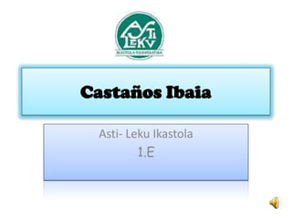 Castaños Ibaia Asti- Leku Ikastola 1.E 