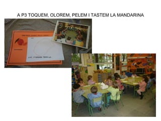 A P3 TOQUEM, OLOREM, PELEM I TASTEM LA MANDARINA
 
