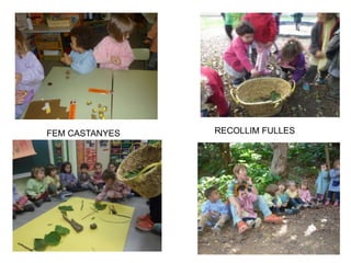FEM CASTANYES RECOLLIM FULLES
 