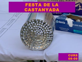 FESTA DE LA CASTANYADA CURS 08-09 