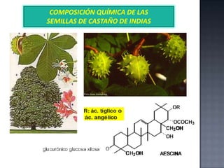 COMPOSICIÓN QUÍMICA DE LAS
SEMILLAS DE CASTAÑO DE INDIAS

 