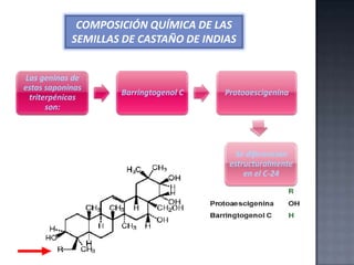 COMPOSICIÓN QUÍMICA DE LAS
SEMILLAS DE CASTAÑO DE INDIAS
Las geninas de
estas saponinas
triterpénicas
son:

Barringtogenol C

Protoaescigenina

Se diferencian
estructuralmente
en el C-24

 