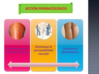 ACCION FARMACOLOGICA

Antiinflamatorio
(antiedematoso)

Disminuye la
permeabilidad
vascular

Venotónico
(flebotónico)

 