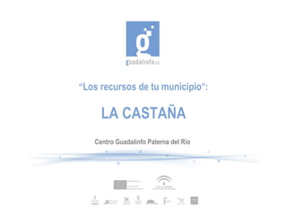 Centro Guadalinfo Paterna del Río   “ Los recursos de tu municipio ”: LA CASTAÑA 