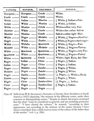 Castas of Spanish America | PDF