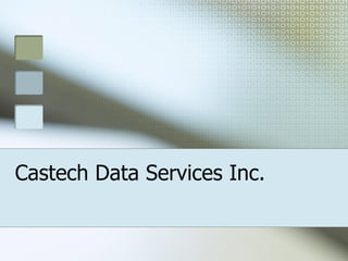 Castech Data Services Inc. 