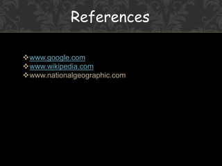 References
www.google.com
www.wikipedia.com
www.nationalgeographic.com
 