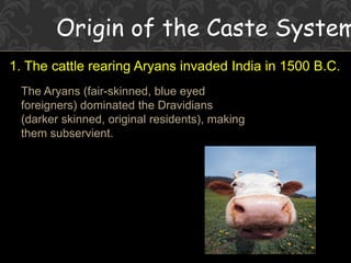 Origin of the Caste System
1. The cattle rearing Aryans invaded India in 1500 B.C.
The Aryans (fair-skinned, blue eyed
foreigners) dominated the Dravidians
(darker skinned, original residents), making
them subservient.
 