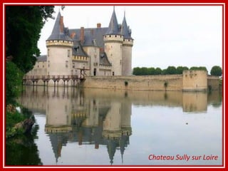 Chateau Sully sur Loire