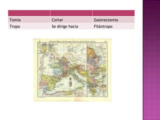 Tomia Cortar Gastrectomía Tropo Se dirige hacia Filántropo 