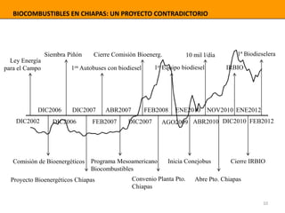 BIOCOMBUSTIBLES EN CHIAPAS: UN PROYECTO CONTRADICTORIO
DIC2002
Ley Energía
para el Campo
DIC2006
Comisión de Bioenergético...