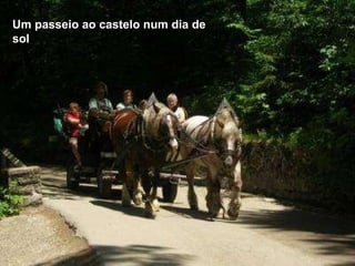 Um passeio ao castelo num dia de sol 