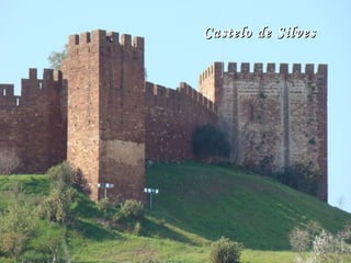Castelo de SilvesCastelo de Silves
 