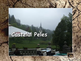 Castelul PelesCastelul Peles
LUKA’S WORLD
 