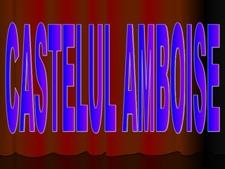 CASTELUL AMBOISE 