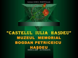 “ CASTELUL  IULIA  HAŞDEU” MUZEUL  MEMORIAL BOGDAN PETRICEICU  HAŞDEU DERULARE  AUTOMATĂ 
