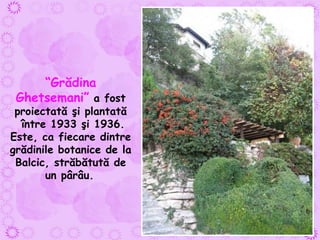 “ Grădina Ghetsemani”  a fost proiectată şi plantată între 1933 şi 1936. Este, ca fiecare dintre  grădinile botanice de la Balcic, străbătută de un pârâu.   