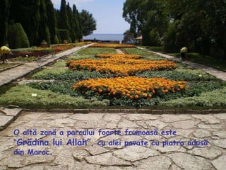 O altă zonă a parcului foarte frumoasă este “ Grădina lui Allah” , cu alei pavate cu piatra adusă din Maroc. 