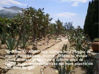 “ Grădina lui Allah”  face legătura între Fântâna de argint şi Vila Săgeata albastră. Grădina nu trebuie ratată deoarece adăposteşte o colecţie unică de cactuşi în aer liber, de fapt cea mai mare colecţie din Sud-Estul Europei.   