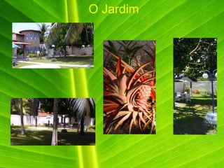 O Jardim
 