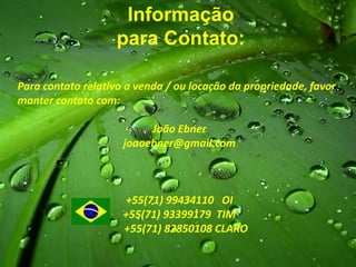 Informação
                   para Contato:

Para contato relativo a venda / ou locação da propriedade, favor
manter contato com:

                          João Ebner
                     joaoebner@gmail.com



                     +55(71) 99434110 OI
                     +55(71) 93399179 TIM
                     +55(71) 82850108 CLARO
 