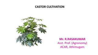 Mr. R.RASAKUMAR
Asst. Prof. (Agronomy)
ACAR, Athimugam
CASTOR CULTIVATION
 