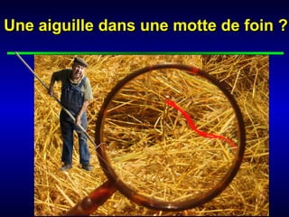 Une aiguille dans une motte de foin ?
 