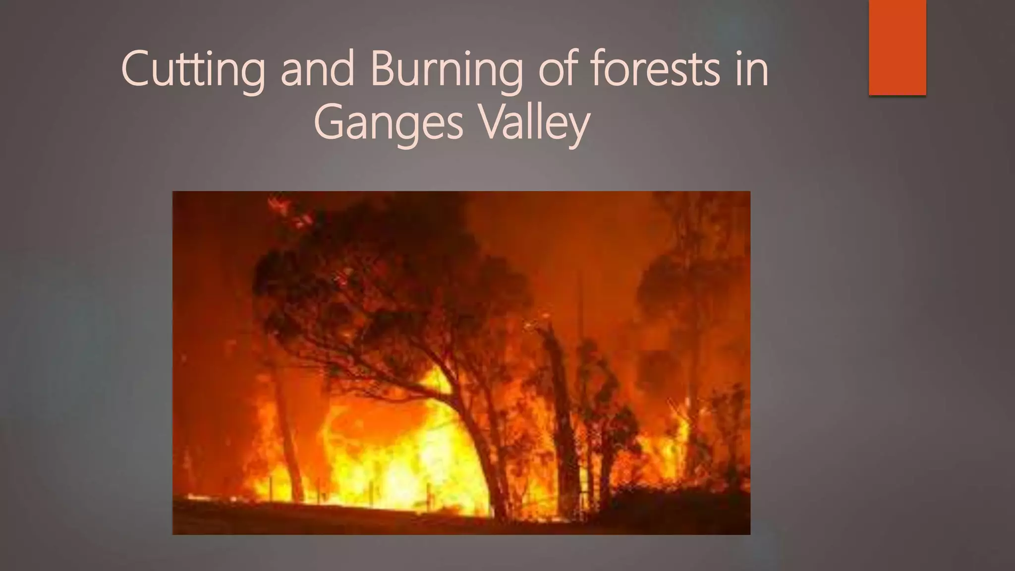 Caste System in India - Historical A to Z