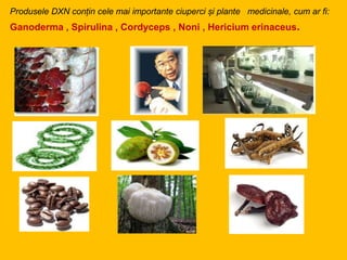 Produsele DXN conțin cele mai importante ciuperci și plante medicinale, cum ar fi:
Ganoderma , Spirulina , Cordyceps , Noni , Hericium erinaceus.
 