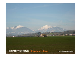 FIUME TORDINO

- Fauna e Flora

Giovanni Castiglione

 
