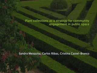 Plant collections as a strategy for community
engagement in public space
Sandra Mesquita, Carlos Ribas, Cristina Castel-Branco
 
