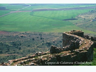 Ricardo Martín García Campos de Calatrava (Ciudad Real) 