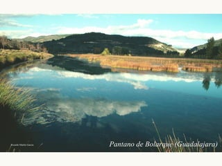 Ricardo Martín García Pantano de Bolarque (Guadalajara) 
