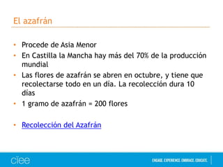 El azafrán 
• Procede de Asia Menor 
• En Castilla la Mancha hay más del 70% de la producción 
mundial 
• Las flores de azafrán se abren en octubre, y tiene que 
recolectarse todo en un día. La recolección dura 10 
días 
• 1 gramo de azafrán = 200 flores 
• Recolección del Azafrán 
 