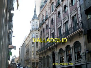 Serie: Angeldp. Flikr VALLADOLID 
