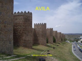 Miriam.mollerus. Flikr AVILA 