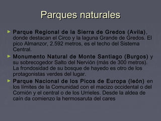 Parques naturalesParques naturales
► Parque Regional de la Sierra de Gredos (Avila),
donde destacan el Circo y la laguna Grande de Gredos. El
pico Almanzor, 2.592 metros, es el techo del Sistema
Central.
► Monumento Natural de Monte Santiago (Burgos) y
su sobrecogedor Salto del Nervión (más de 300 metros).
La frondosidad de su bosque de hayedo es otro de los
protagonistas verdes del lugar.
► Parque Nacional de los Picos de Europa (león) en
los límites de la Comunidad con el macizo occidental o del
Cornión y el central o de los Urrieles. Desde la aldea de
caín da comienzo la hermosaruta del cares
 
