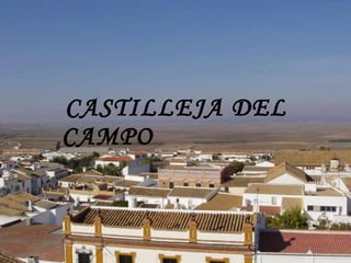CASTILLEJA DEL CAMPO   