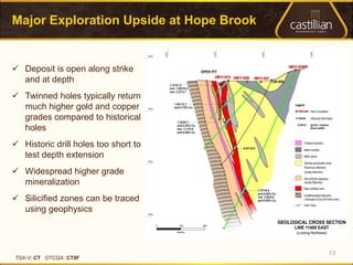 Major Exploration Upside at Hope Brook


 Deposit is open along strike
  and at depth
 Twinned holes typically return
  much higher gold and copper
  grades compared to historical
  holes
 Historic drill holes too short to
  test depth extension
 Widespread higher grade
  mineralization
 Silicified zones can be traced
  using geophysics



                                         13
TSX-V: CT OTCQX: CTIIF
 