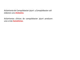 Aislamiento de Campylobacter jejuni y Campylobacter coli
elaboran una citotoxina.
Aislamientos clínicos de campylobacter jejuni producen
uno o más hemolisinas.
 